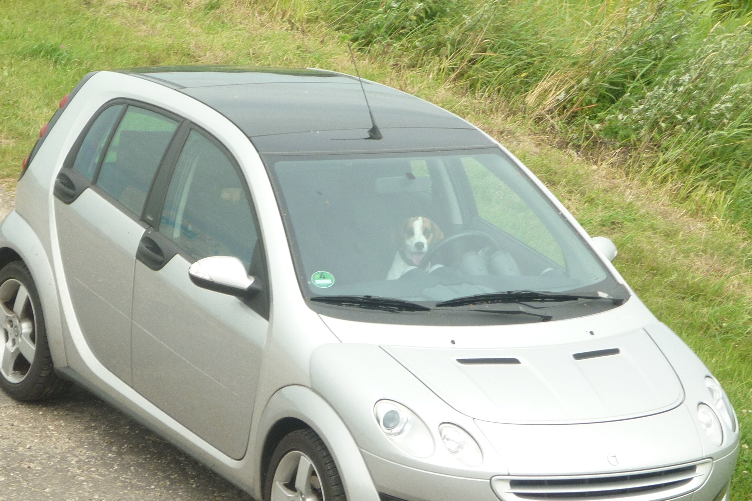ich fahre gerne Auto
