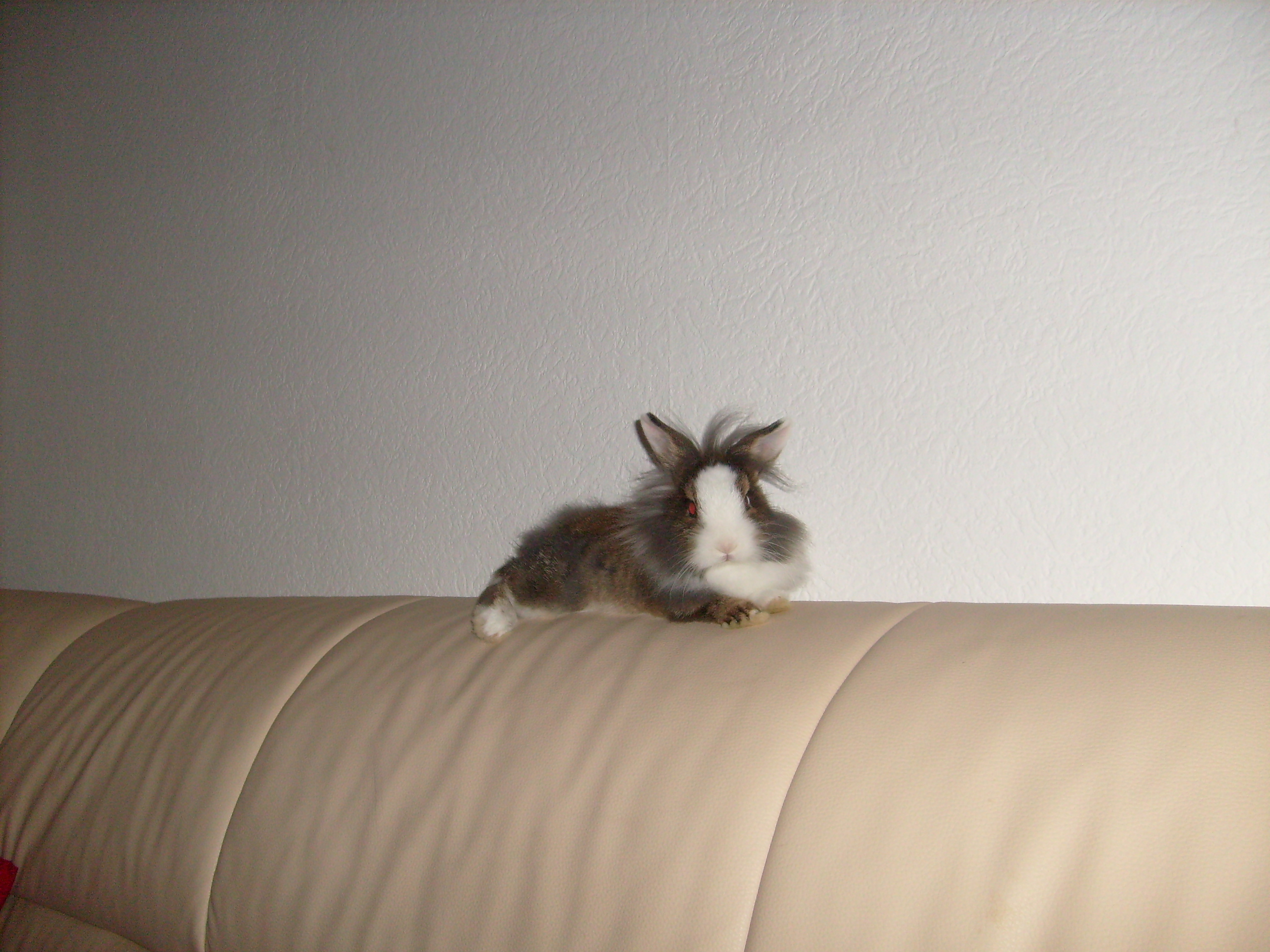 Prinzessin auf der E...Couch...