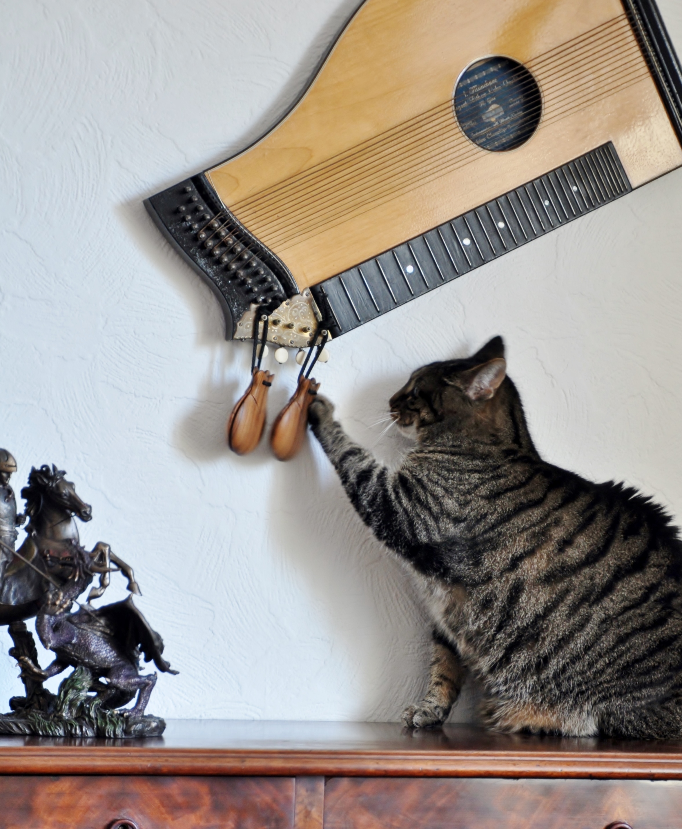 Katzen Musik