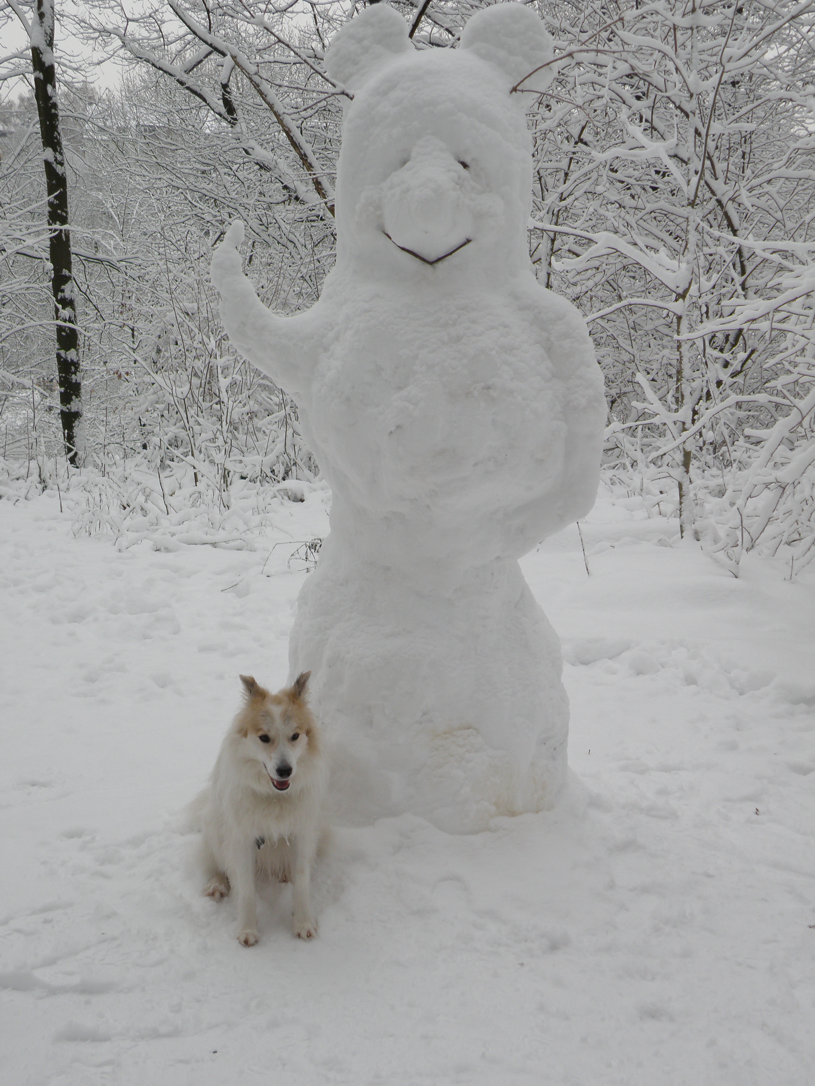 Colliemix (Schulterhöhe 54cm ) trifft auf Haribo EISBÄR