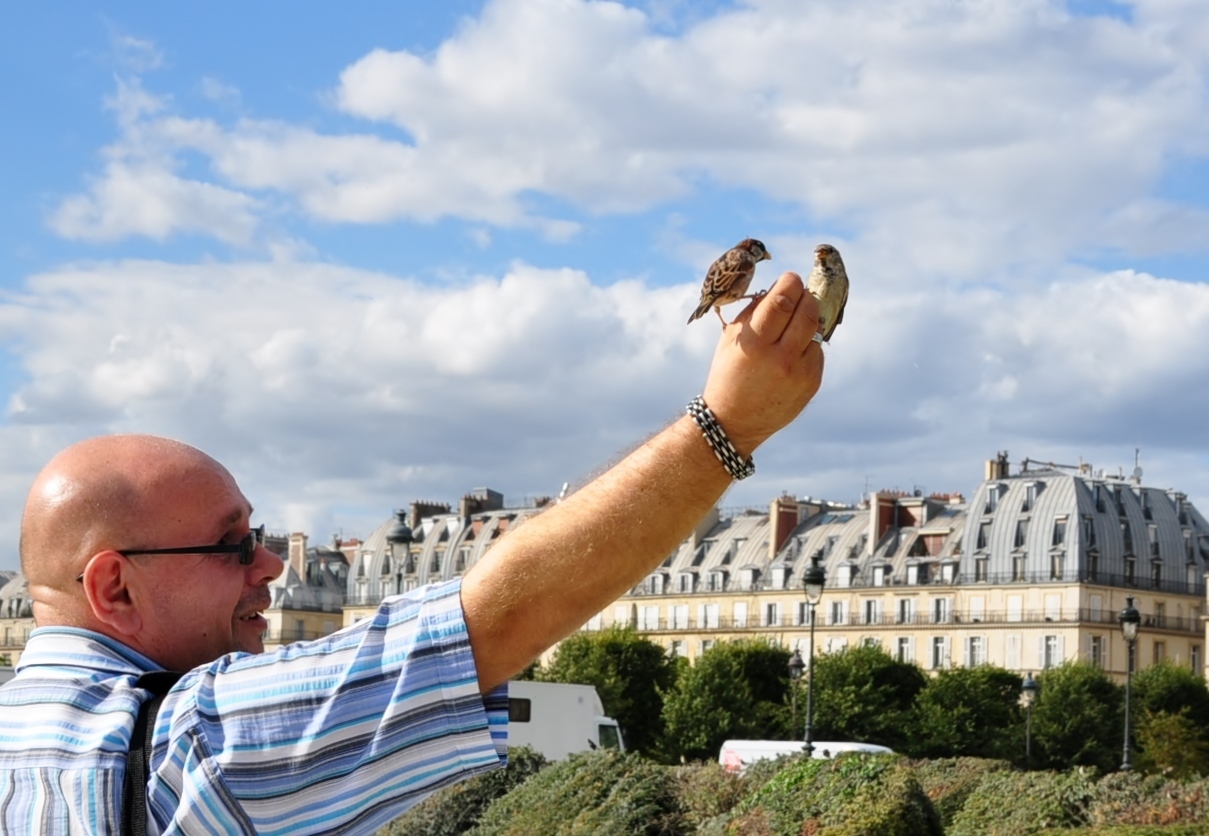 Pariser Vögel