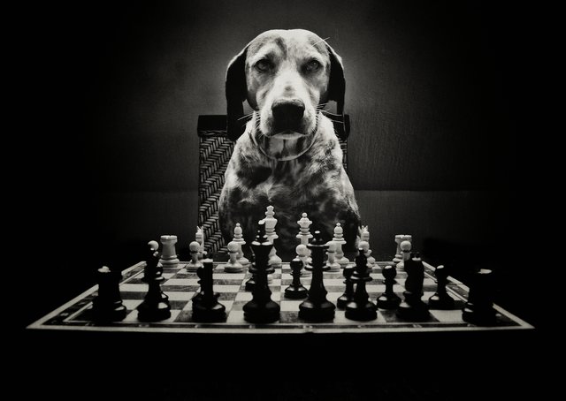 Der Gamer