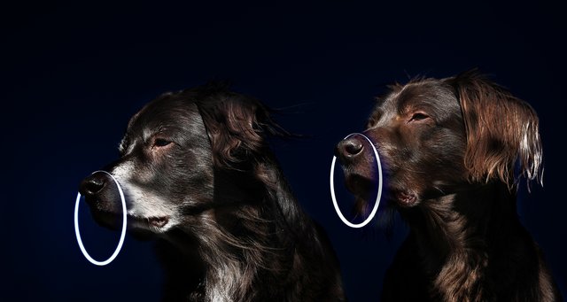 Lichtgestalten