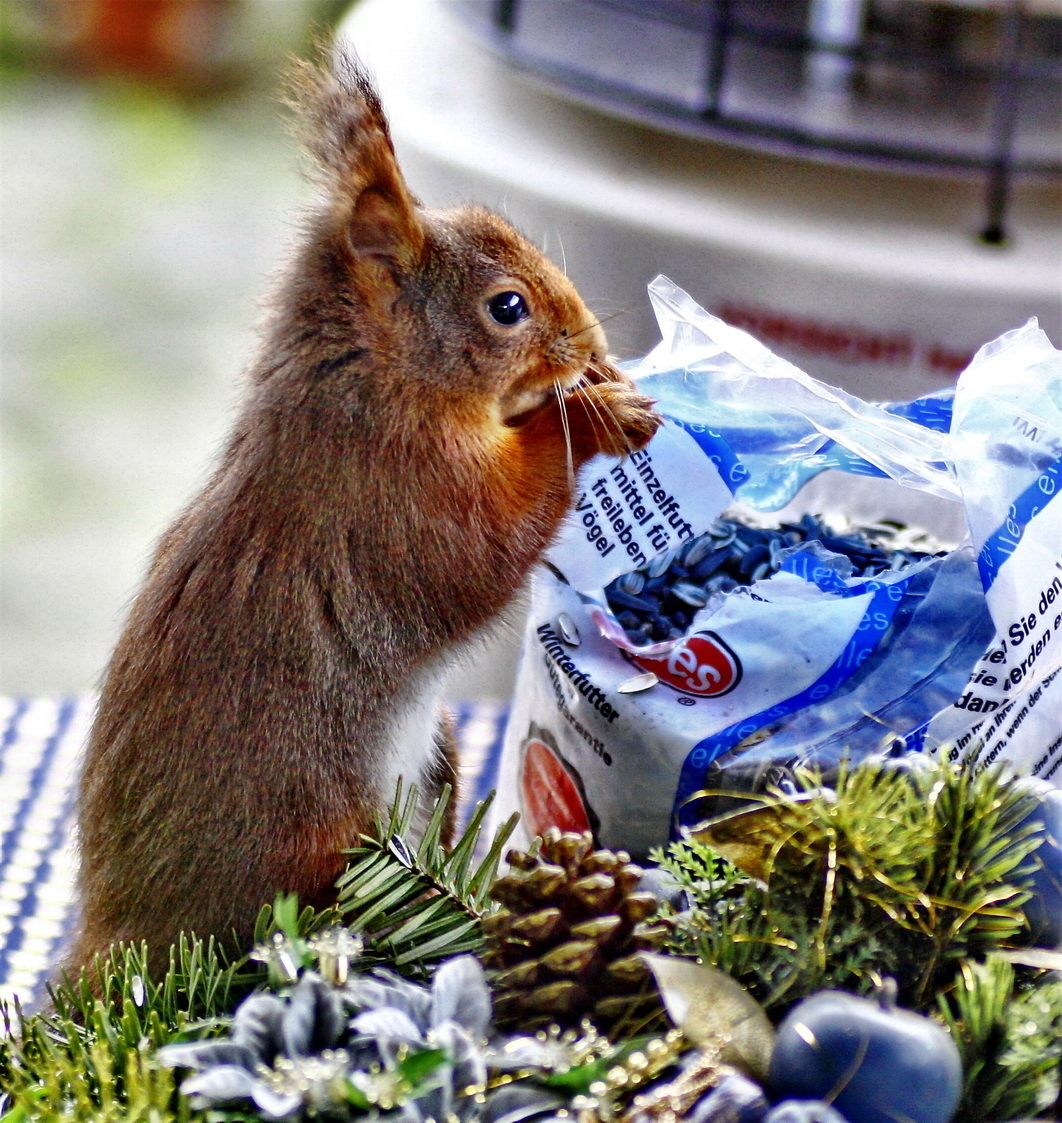 ist doch noch Winter oder...