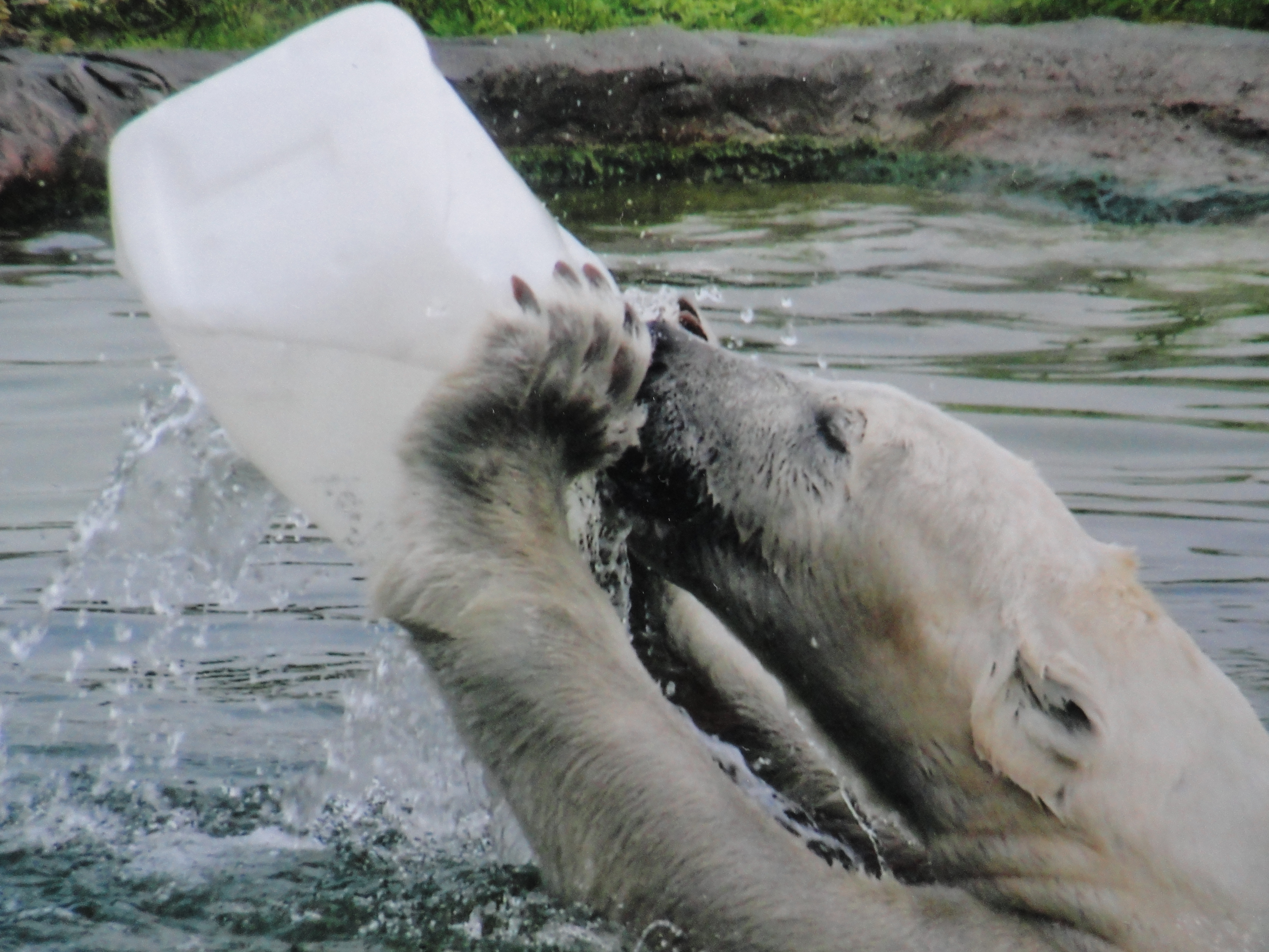 Endlich Wasser!!!