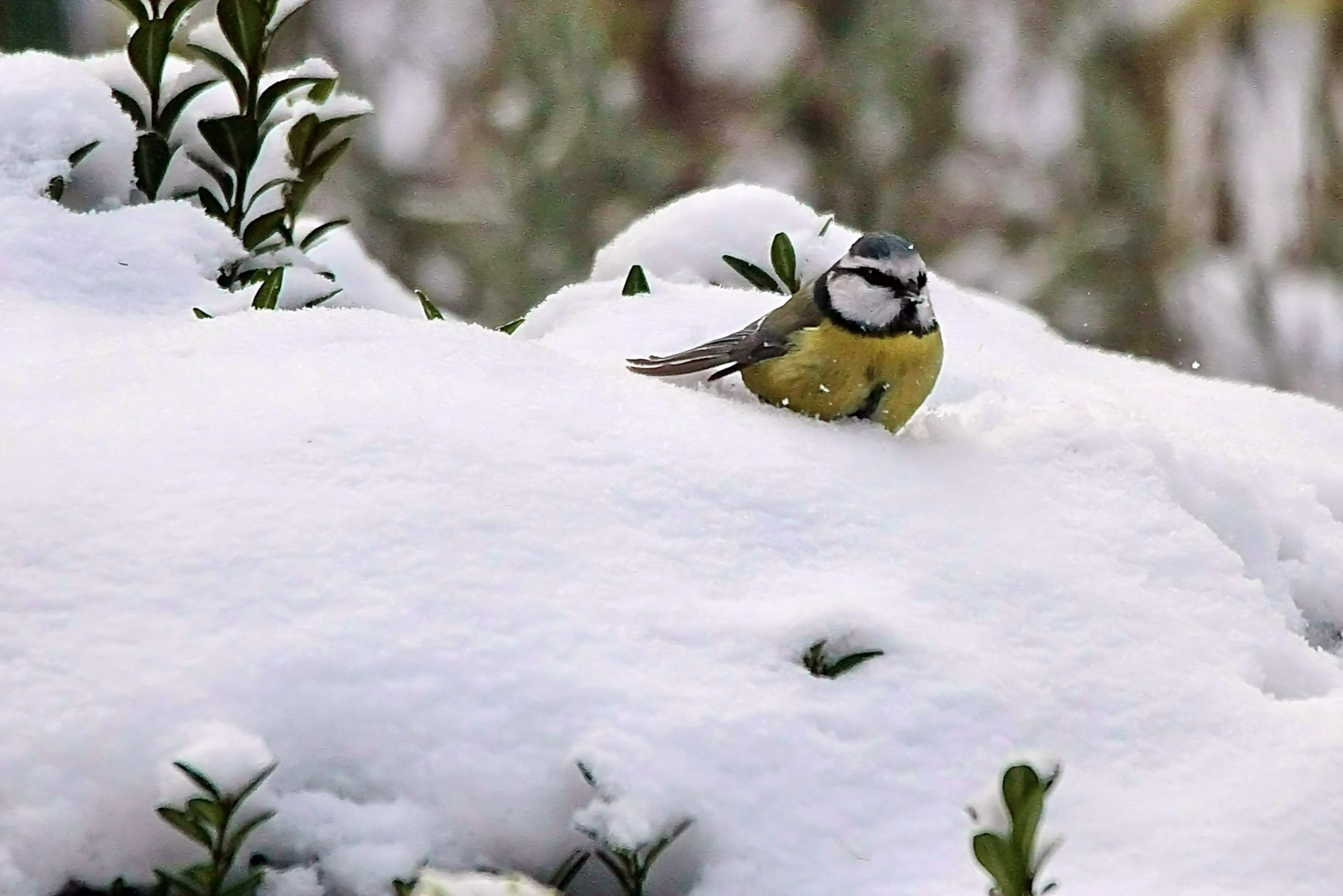 brrr es ist bitterkalt