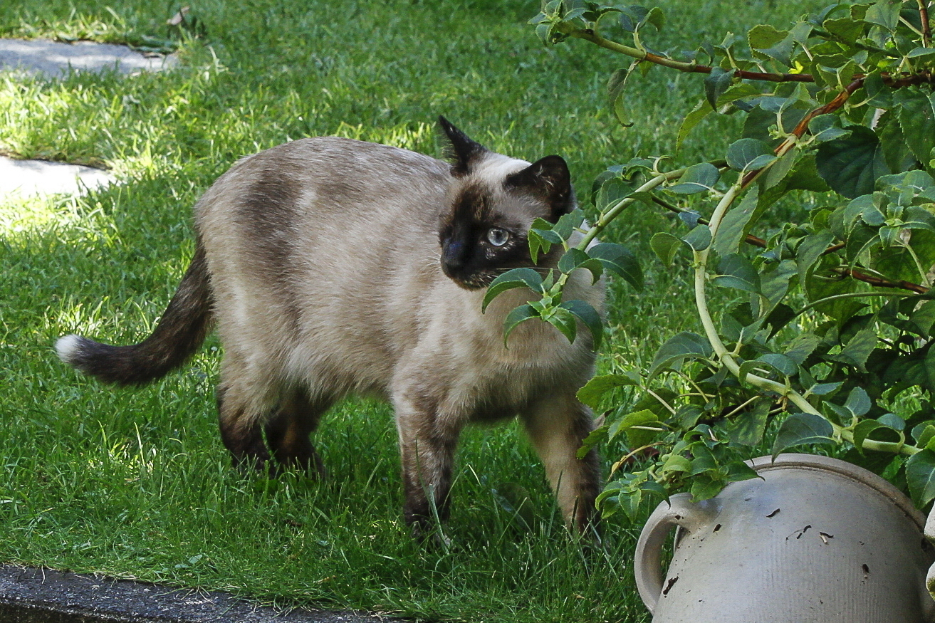 unsere Maus