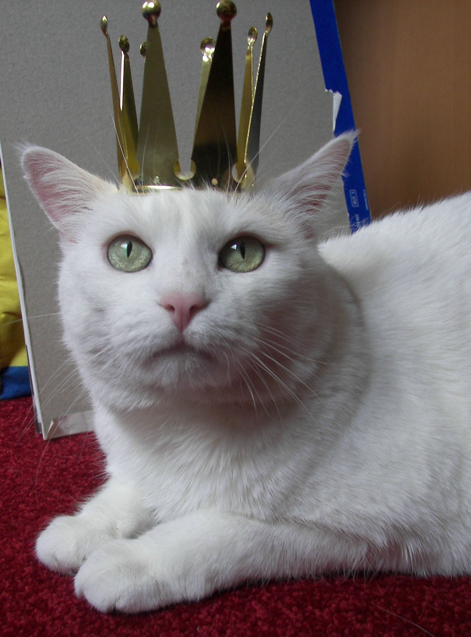 Prinzessin LISA I.