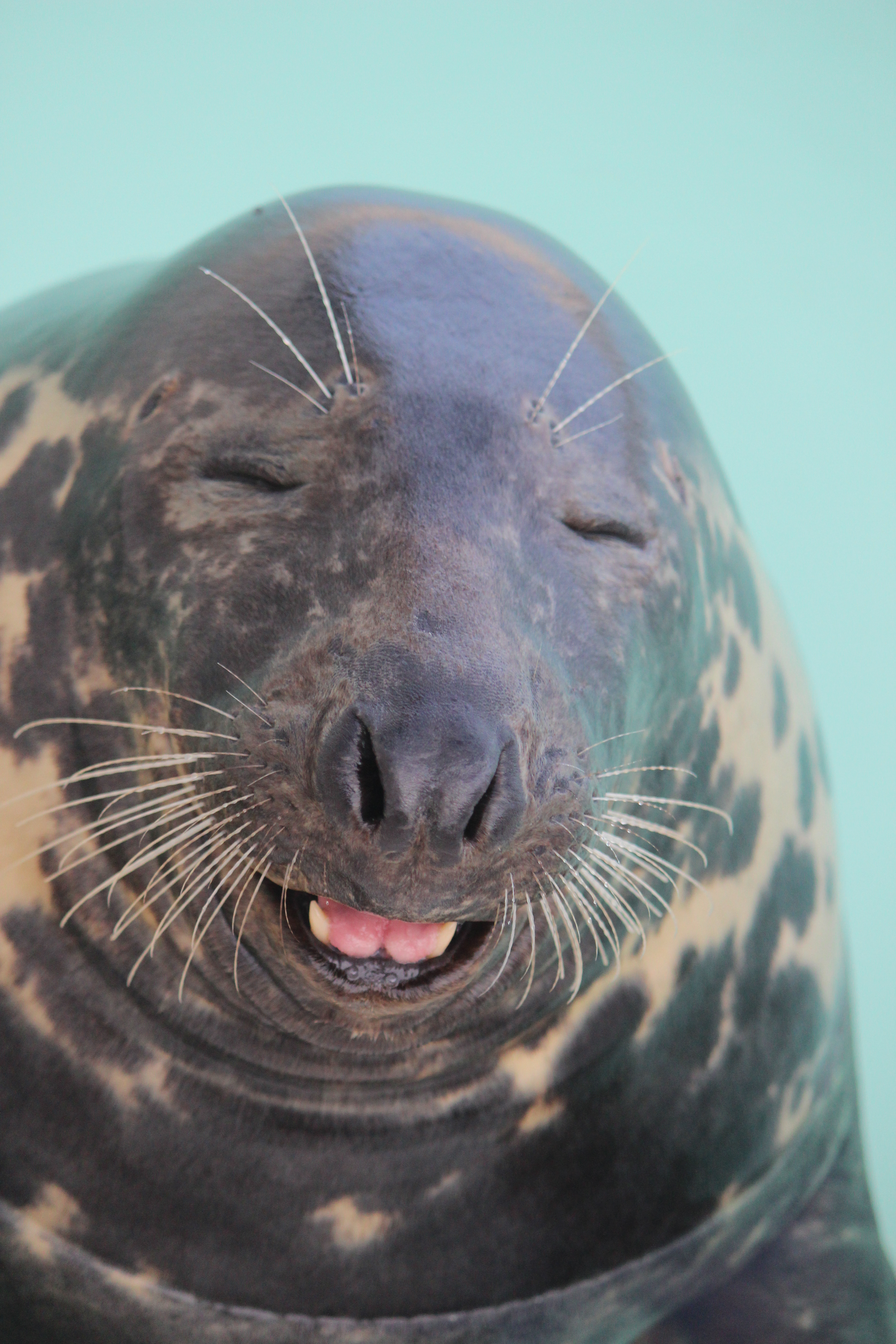 Big Smile !!!!
