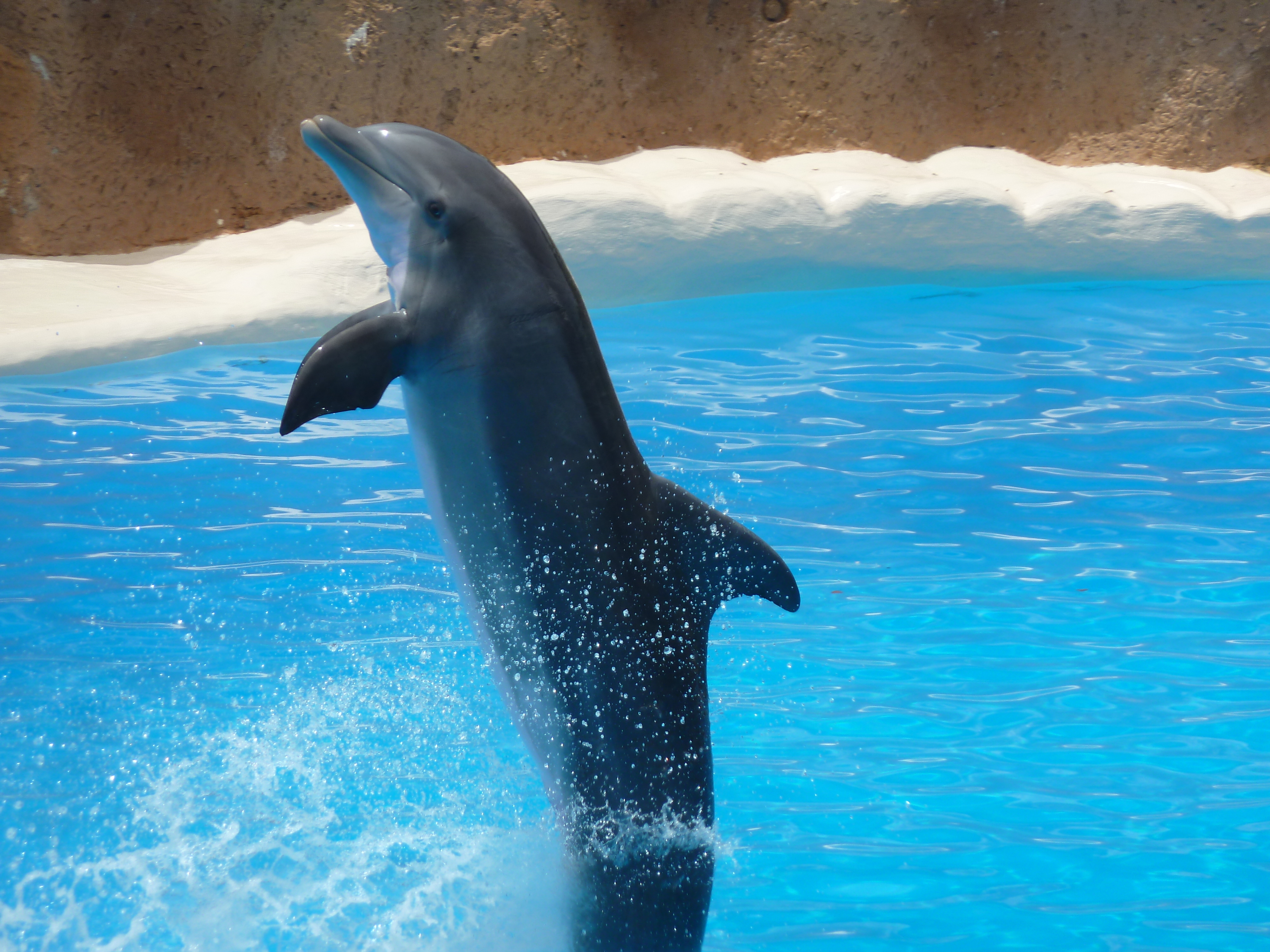 Waterslide !