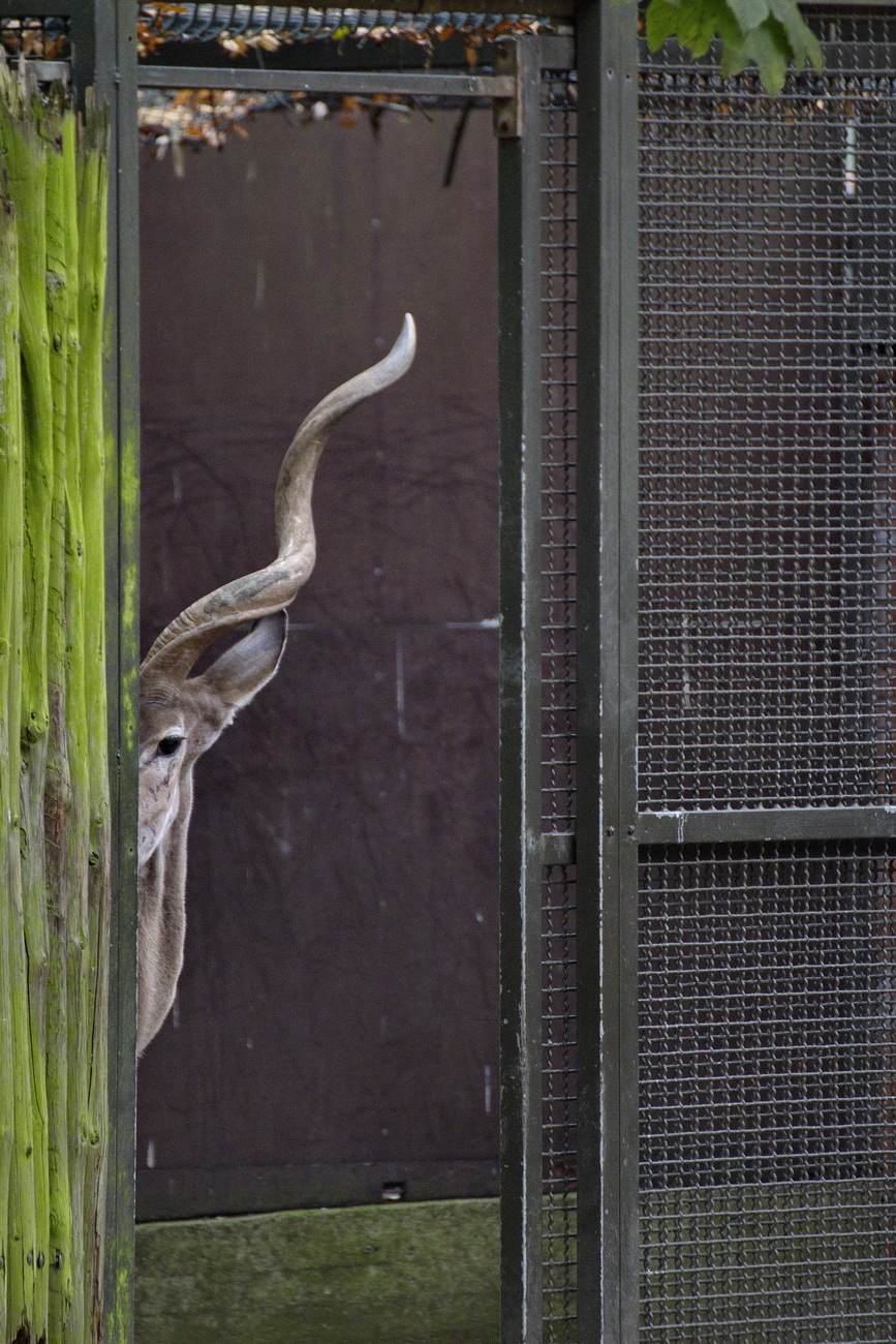 Versteckt.