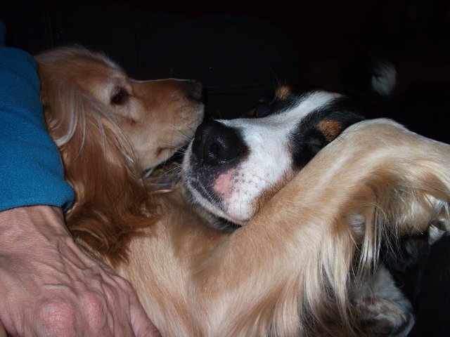 Aika und Emy haben sich lieb !