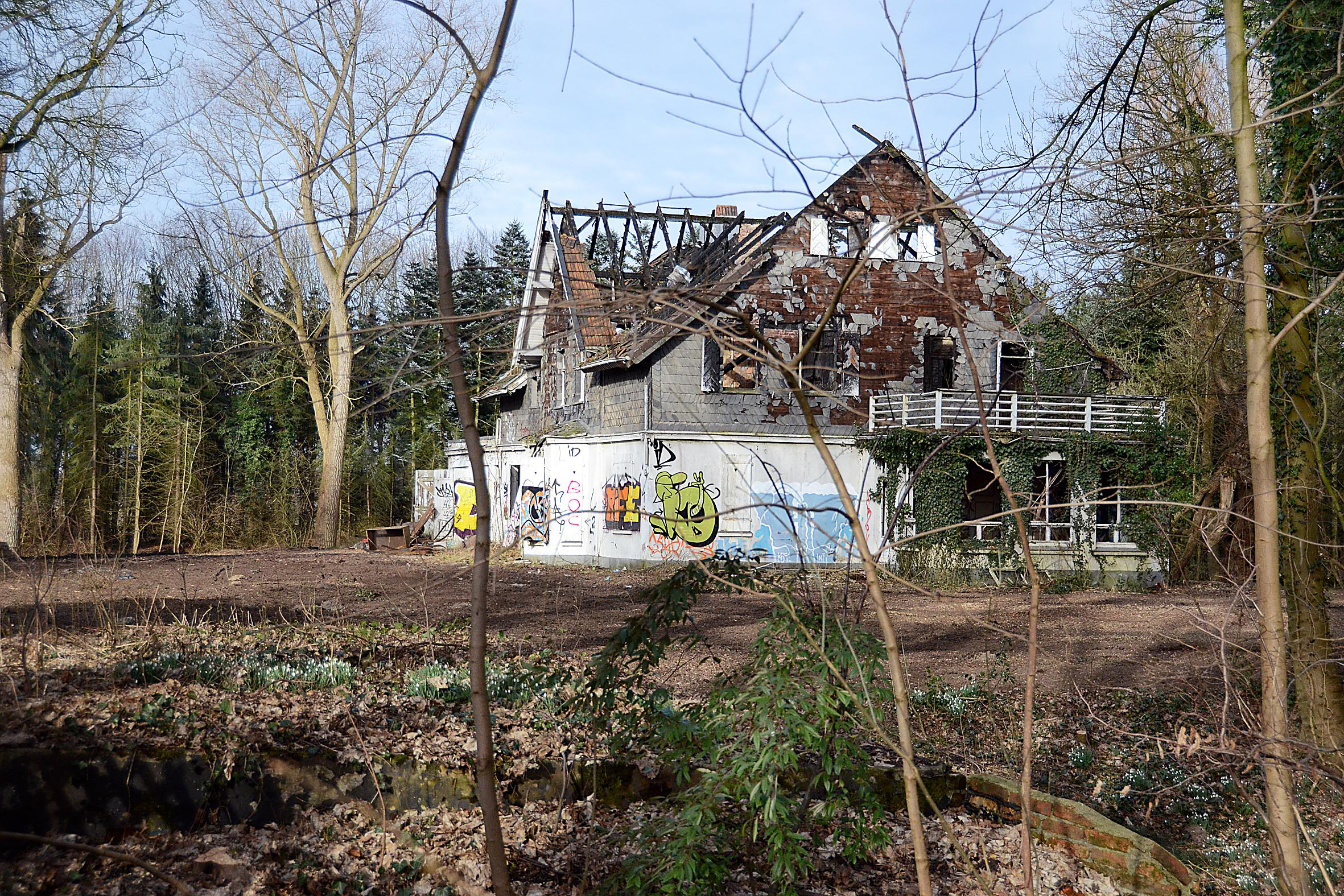 Ungewohnte Einblicke bieten sich aktuell den Kurlern: Gerodet wurden ohne Genehmigung rund 5000 m² Park- und Gartenbäume rund um die Brandruine von Haus Kurl.