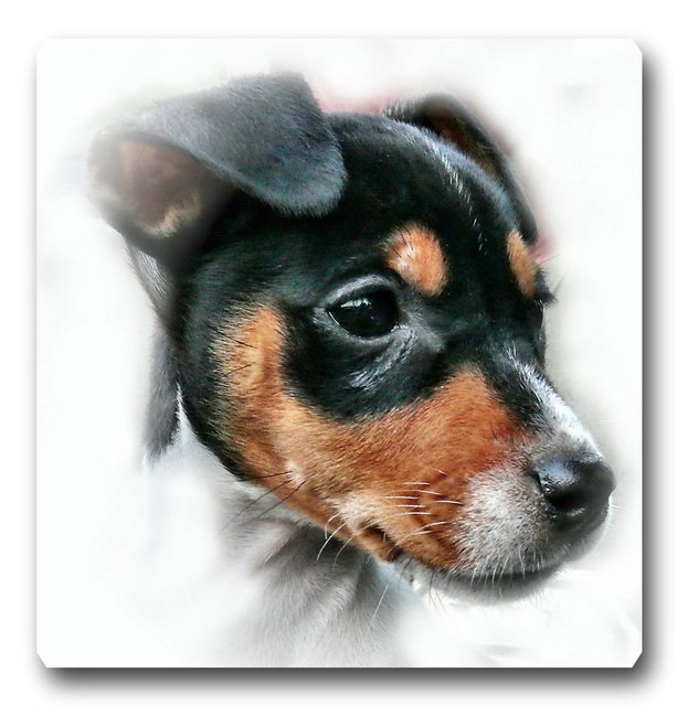 Emma ist ne Liebe, die tut ketner Fliege was zu Leide