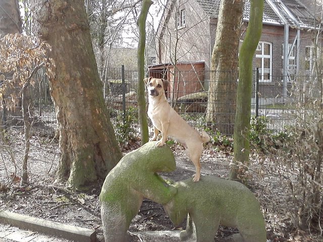 Der dritte Bär aus Kamen
