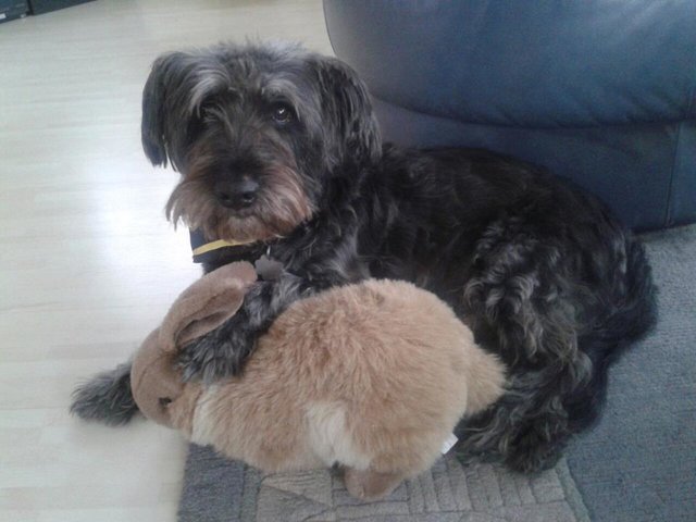 mein bester Freund