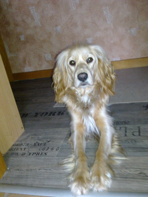 Emy ist wachsam !