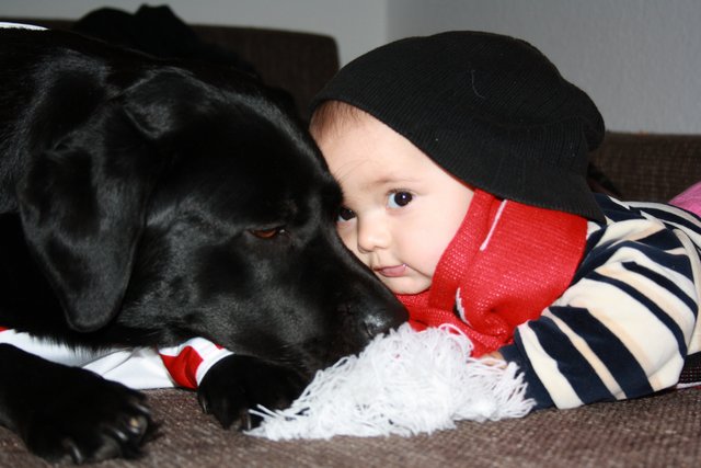 Ich hab dich so lieb