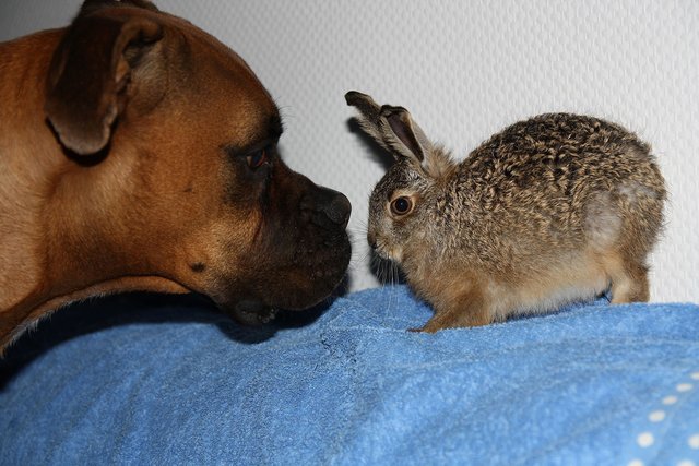 Wer bist Du denn?