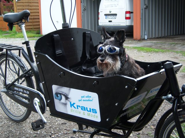 ...wenn´s Herrchen, rast zieht es in den Augen ;)