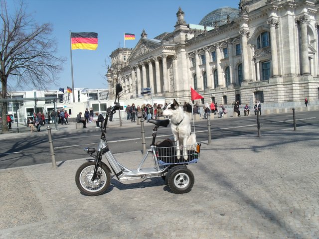 Berlin ich komme