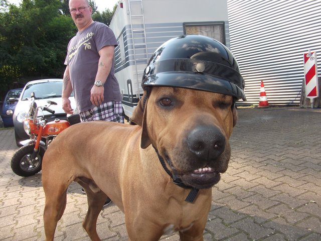 ich möchte endlich wieder Moped fahren!