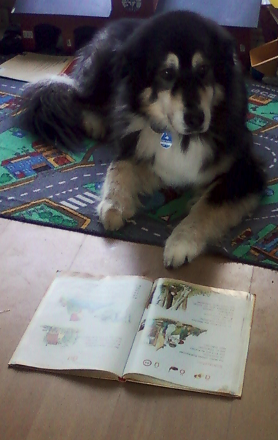 Lesen bildet :-)