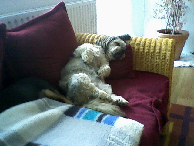 Das Leben ist Stress pur