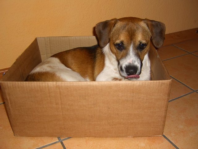 "Packt mich denn keiner aus?"