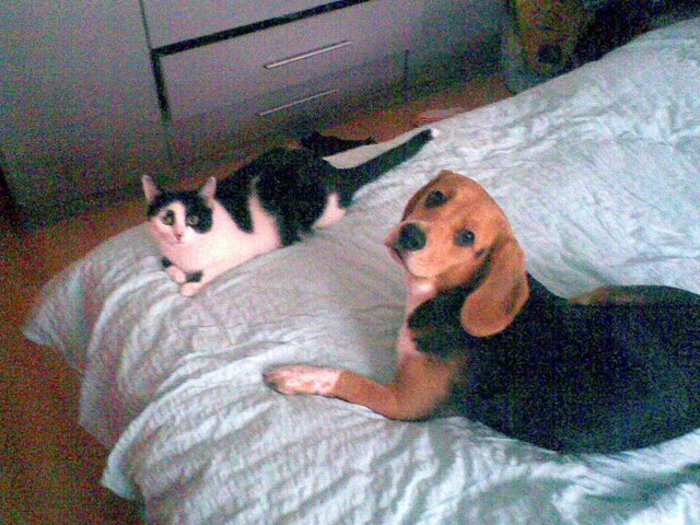 Wir teilen uns sogar ein Bett