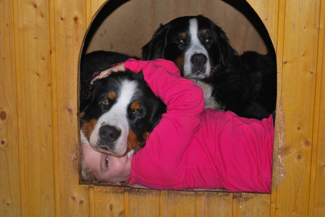 ...wir wollen doch NUR kuscheln!!!