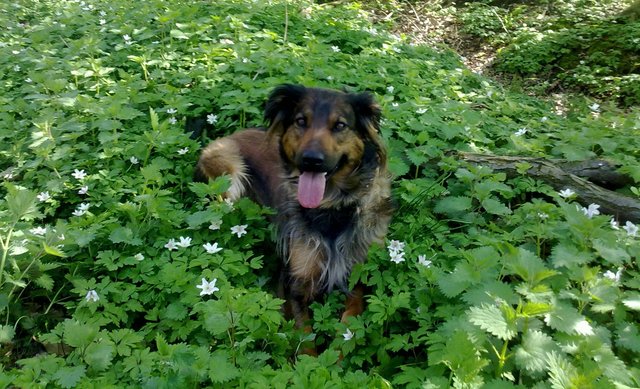 Kira aus Lünen