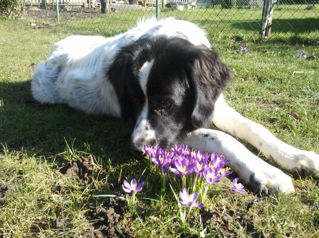 Frühling...