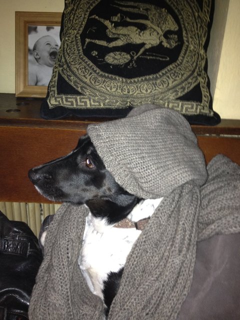 Man ist mir kalt, das Winterfell ist auch nicht mehr ds was es mal war!!!:)