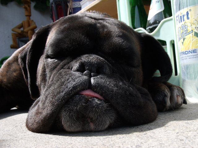 Ich halte Wache! ZzZZz