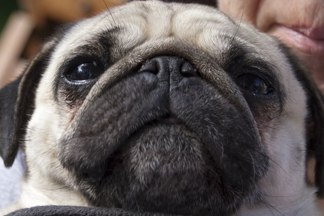 Monday face