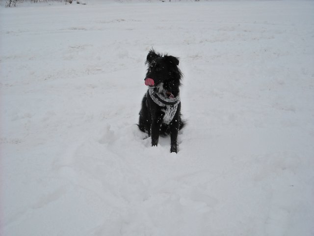 der Schnee schmeckt so toll...