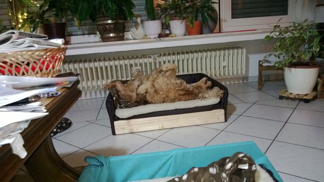 Mensch bin ich fertig,meine Kumpels haben mich geschafft,ich tu bestimmt nix mehr