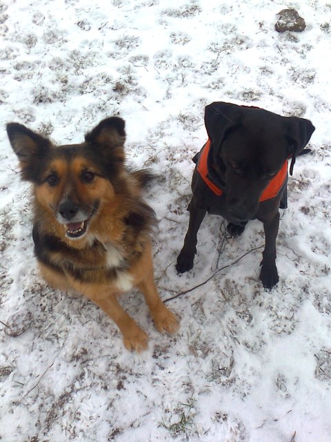 Schnee ist das beste auf der Welt