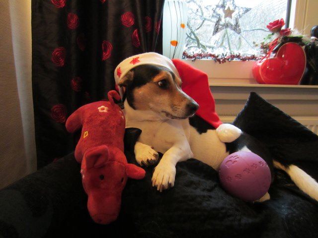 Was denn, schon wieder Weihnachten?