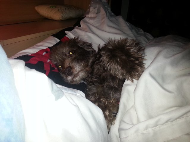 Gina liegt Krank im Bett