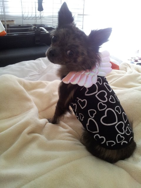 Unser Engel Charly