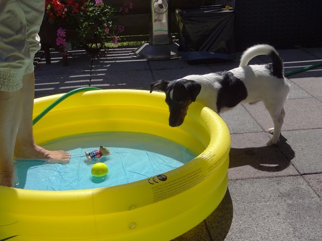 Ich geh da nicht rein