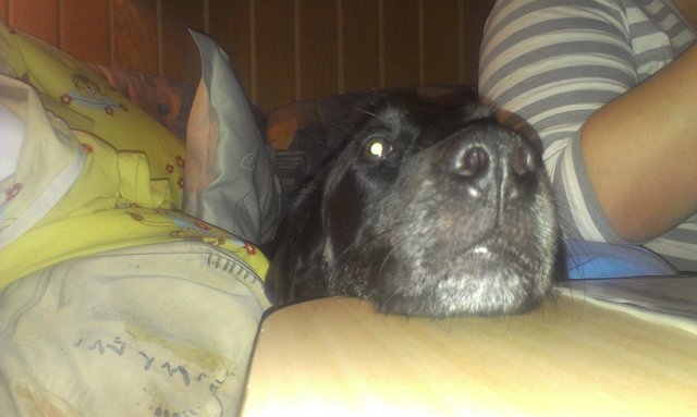will nur wissen was auf dem Tisch liegt ich nehm nix runter ;-)