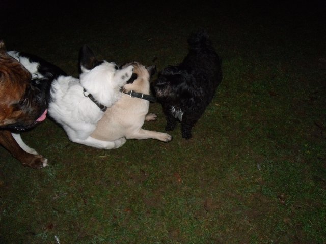 Die sind alle Lieb