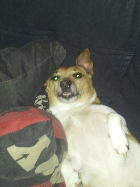 Snoopy die Grinsebacke =)