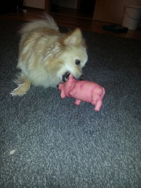 Flocke :-)