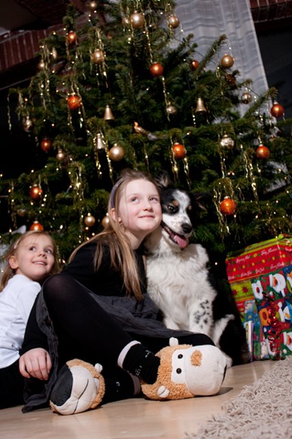 Die Schönsten-Weihnachten -mit -Leika
