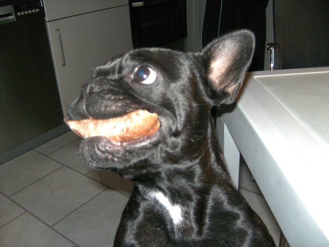 Wo ist die Wurst????
