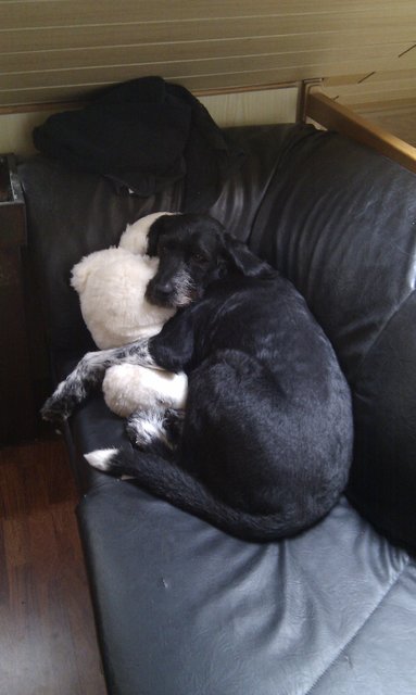 Lass mich... das ist mein Kuscheltier...